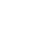 Extermination de fourmi charpentière