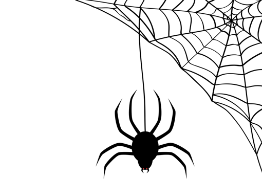 extermination araignée